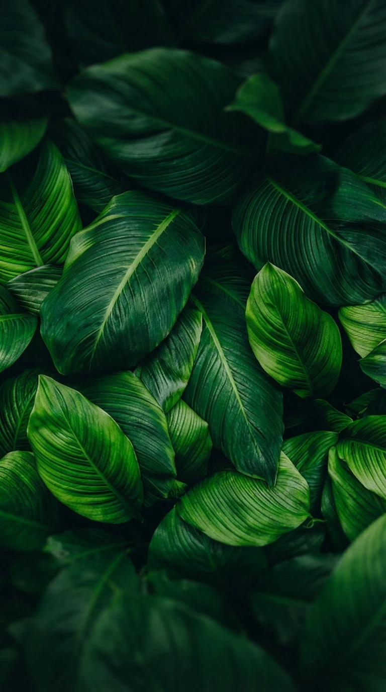 Lush tropical greenery background for 91 Restaurants philosophy